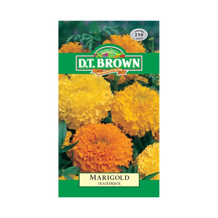 MARIGOLD CRACKERJACK