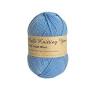 100G FOOTY LIGHT BLUE YARN [100/10]