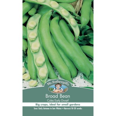 LG Giant Snowpea TeePee