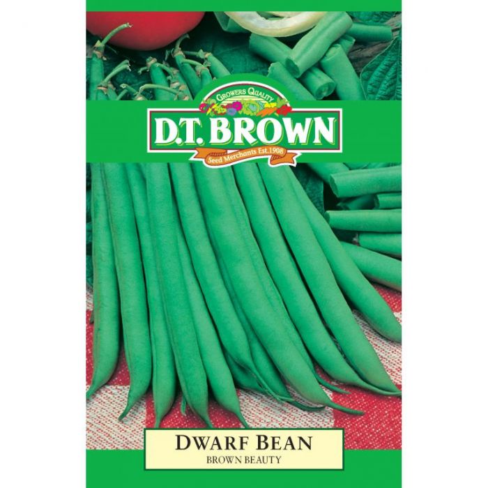 dwarf bean brown