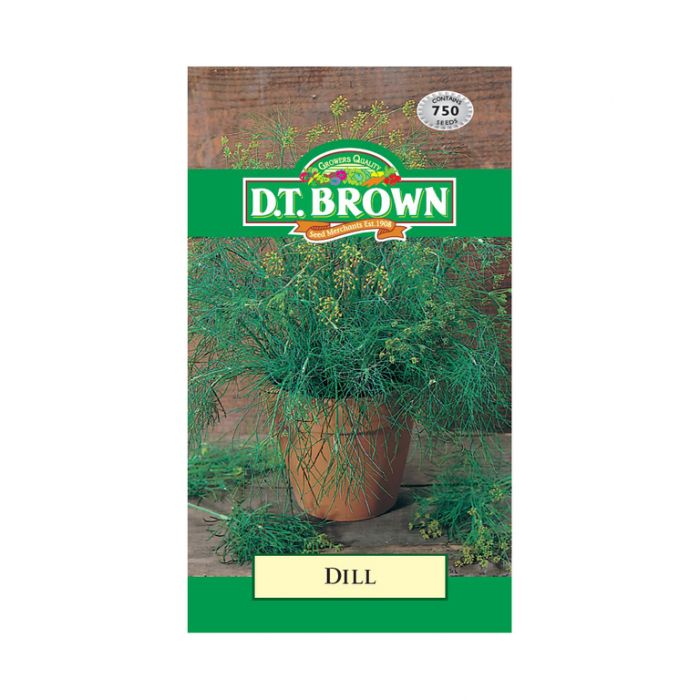 DILL SEEDS